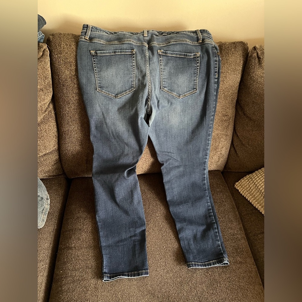 Jeggings! Ava and viv size 16W